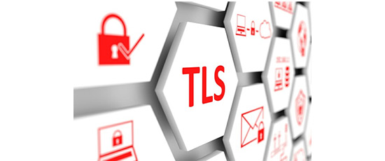 
<p>پروتکل TLS به برنامه‌های Client/Server از شنود و جعل پیام جلوگیری می‌کندTLS . احراز هویت &nbsp;و ارتباط مطمئن در اینترنت را با استفاده از رمز نگاری فراهم می‌کند.</p>
